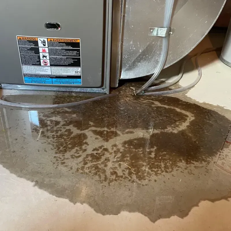 Appliance Leak Cleanup in Blacksburg, SC